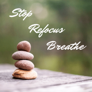 Kevin Guest - Stop, Refocus, Breathe - The Reality Slap